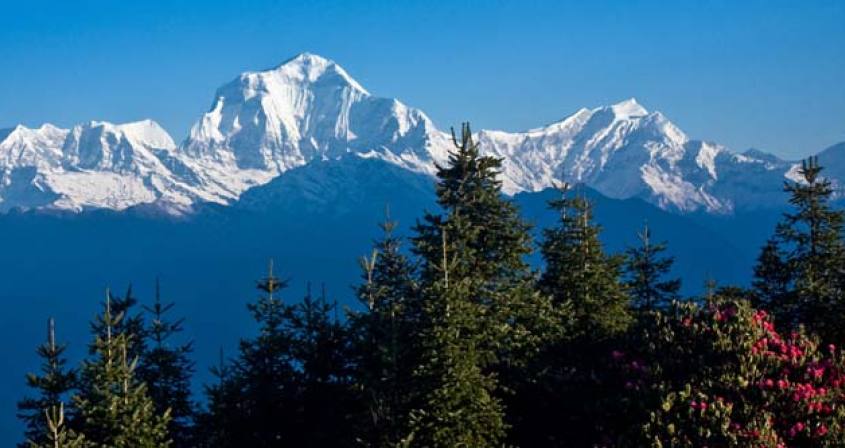 Dhaulagiri Basecamp Trek